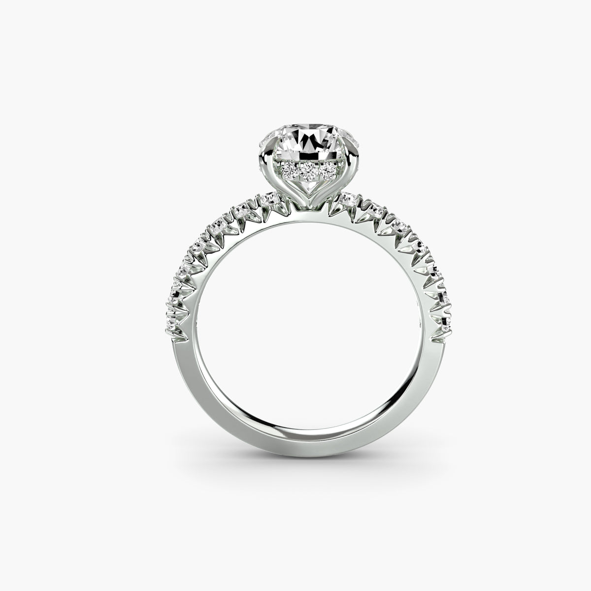 Solitaire with Pavé 6 - 14K White Gold (Round)