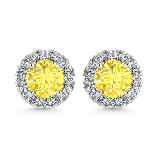 14K White Gold  3/4 Ct.Tw. White and Yellow Lab Grown Diamond Stud Earrings