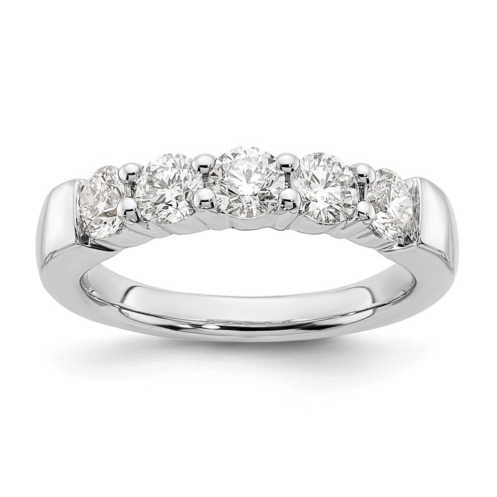 14k White Gold 1 ct Lab Grown Diamond VS/SI+ G+ 5 Stone Complete Band